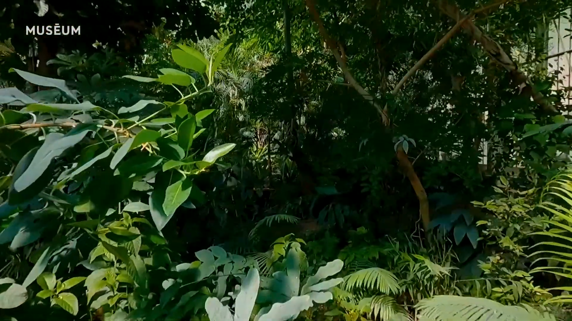 Exposition Automne Tropical au Jardin des Plantes en Famille