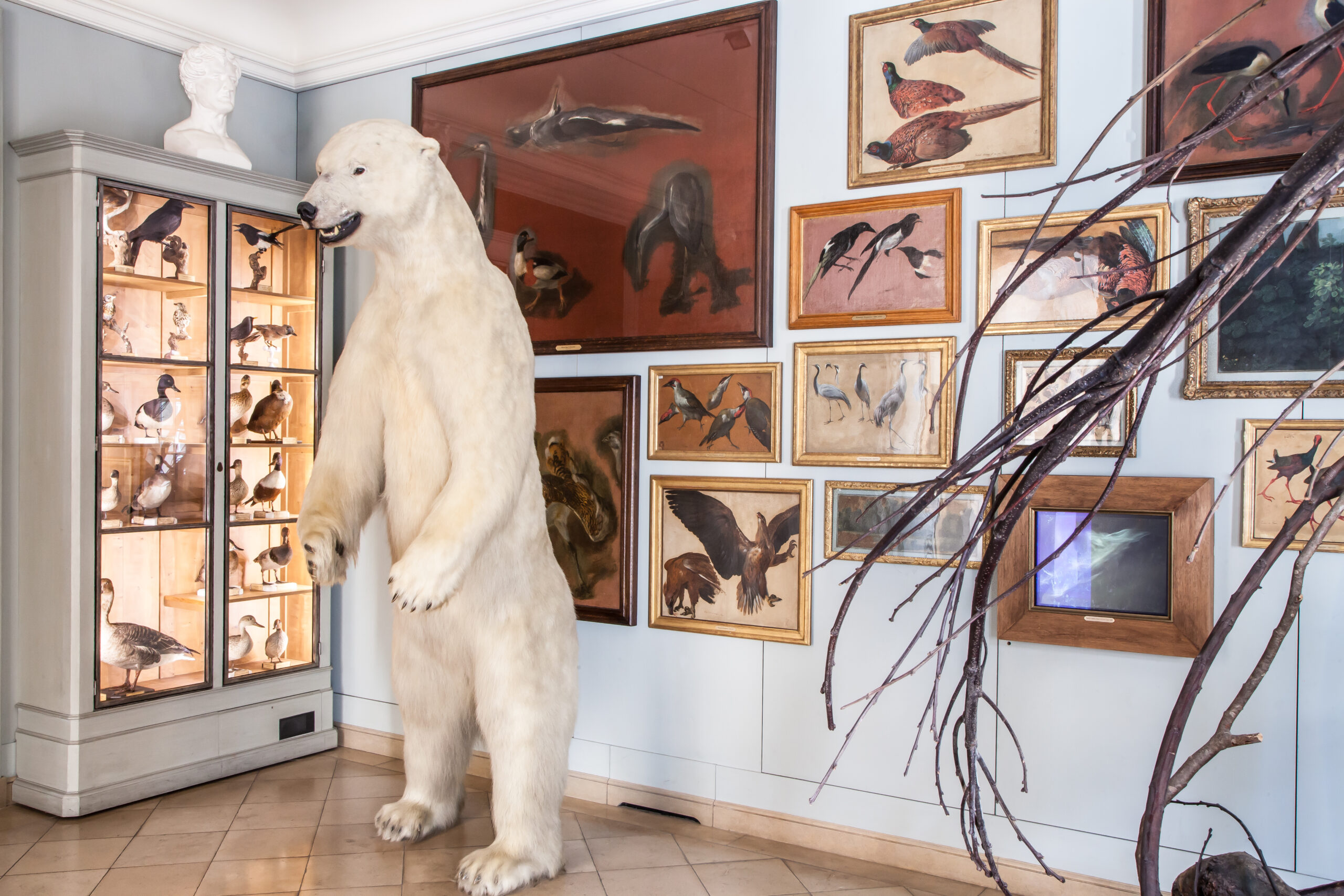 Le musée de la Chasse et de la Nature : une aventure à vivre en famille